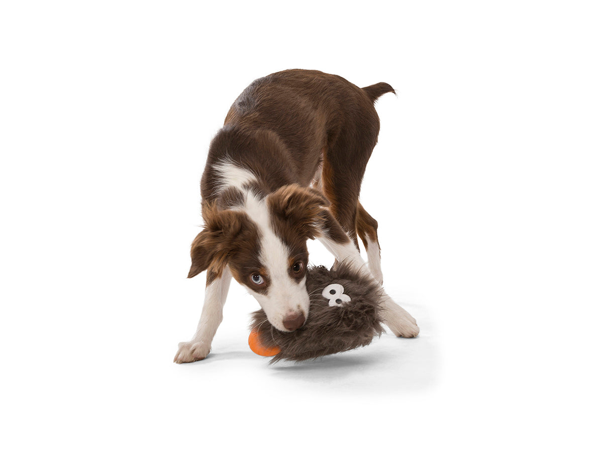 West Paw Design Rosebud Dog Toy - Durable Chew Toy for Small & Medium Dogs, Non-Toxic & Eco-Friendly - Perfect for Indoor Play, Fetch, and Training Sessions