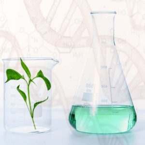 1,3-Propanediol | High Purity Organic Solvent for Cosmetics, Skincare & Pharmaceuticals | Perfect for DIY Beauty Products & Eco-Friendly Formulations