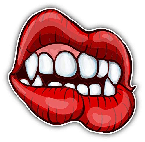 Flexible Magnetic Bumper Sticker - 5