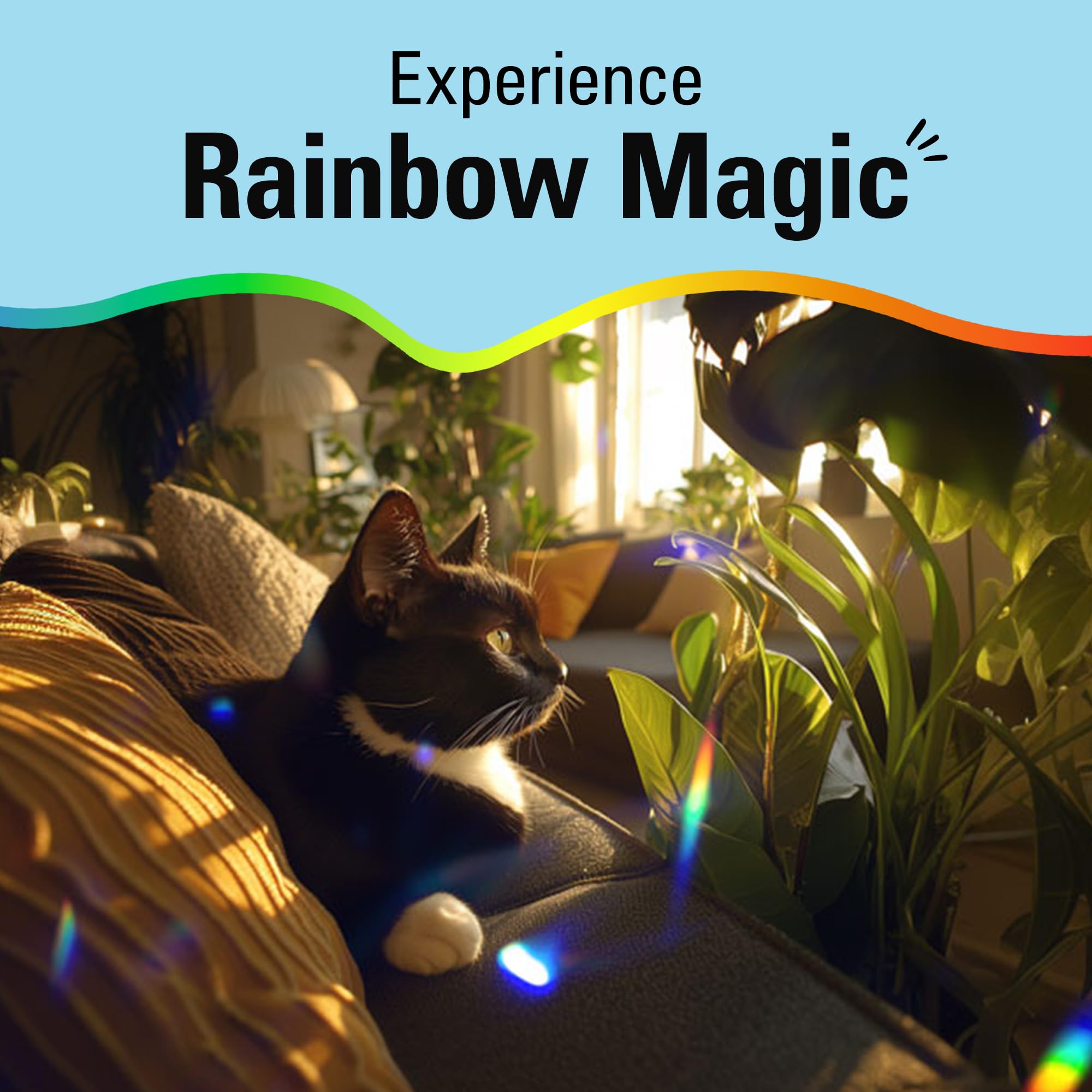 Kikkerland Solar Powered Rainbow Maker – Window Prism Suncatcher for Home Decor, Unique Crystal Gift for Christmas & Birthdays – Creates Beautiful Rainbows in Sunlight – Perfect for Living Rooms, Bedrooms & Kids' Rooms