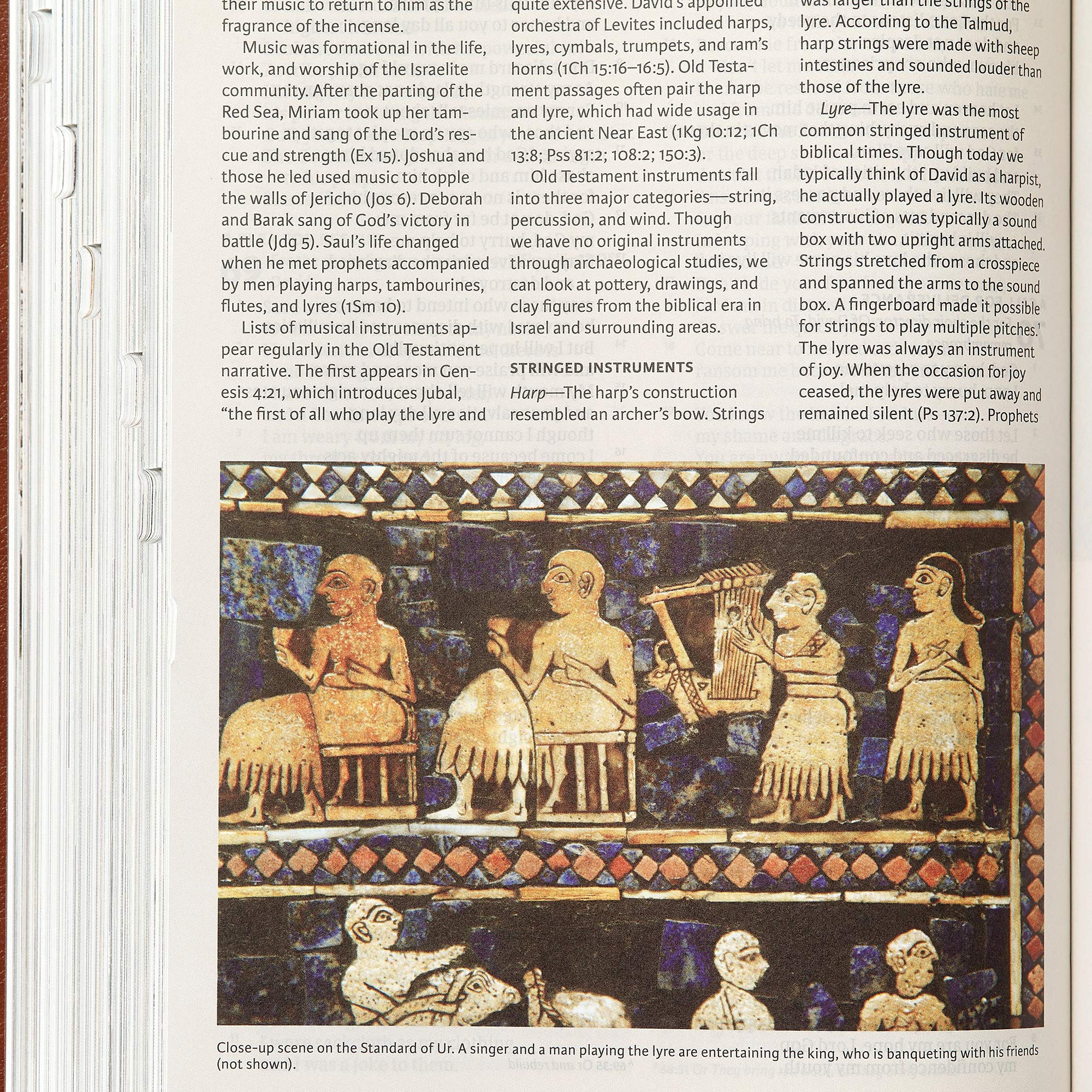Holy Land Illustrated Bible - LeatherTouch, Indexed, Full-Color | Perfect for Bible Study & Travel
