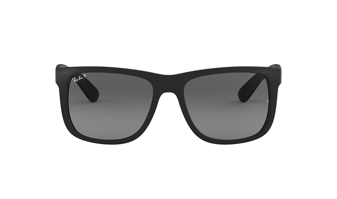 Black (Polarized)
