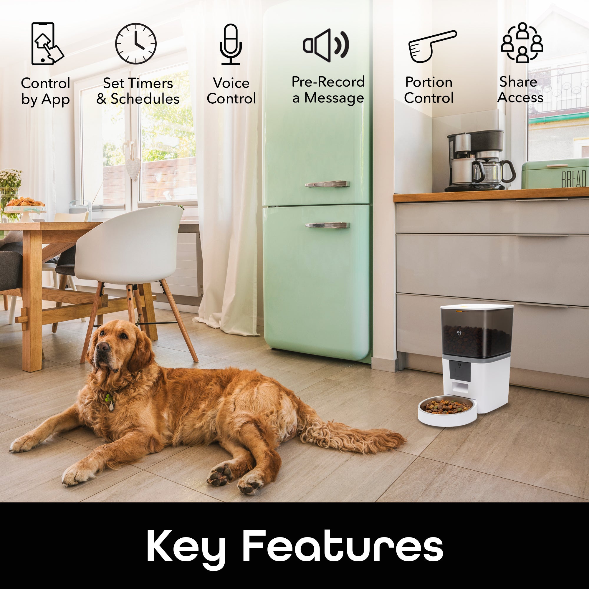 Geeni 6L Smart Pet Feeder - Automatic Cat & Dog Food Dispenser with Timer & App Control - Perfect for Home, Office & Travel Use