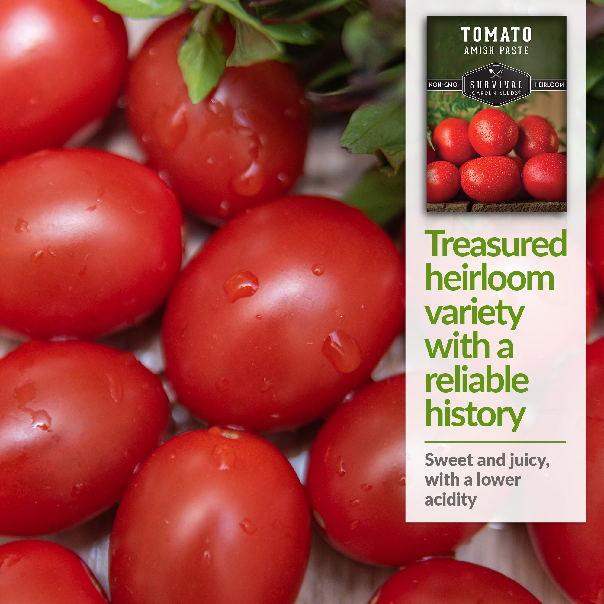 Amish Paste Tomato Seeds - Heirloom, Non-GMO, High-Yield for Sauces & Canning - Perfect for Home Gardens & Organic Farming