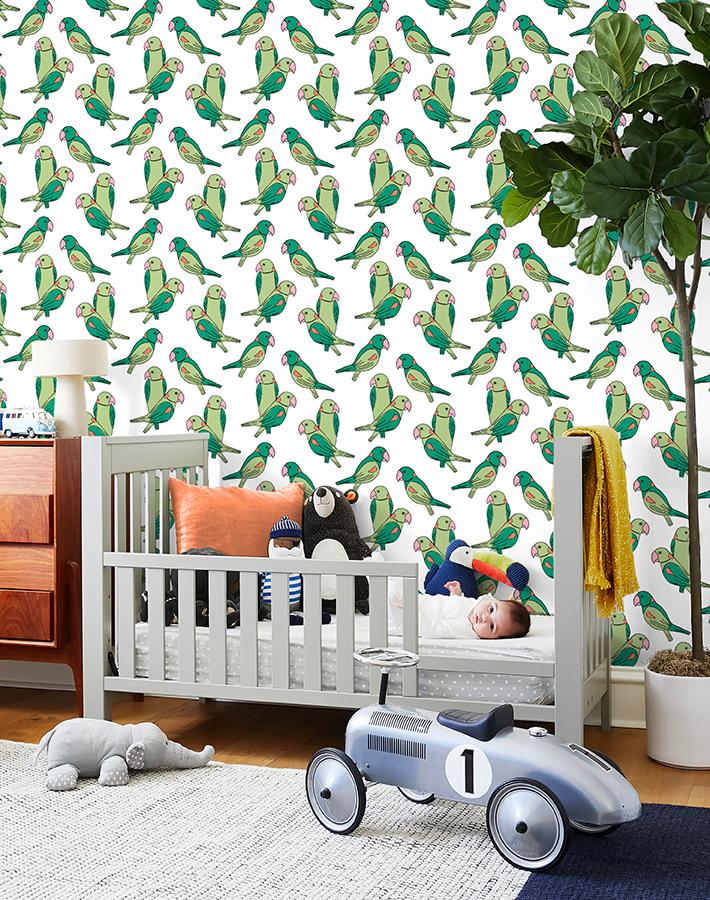 Alexandrine Parakeet Wallpaper - Tropical Green Parrot Design by Tea Collection | Perfect for Living Room, Bedroom & Nursery Decor