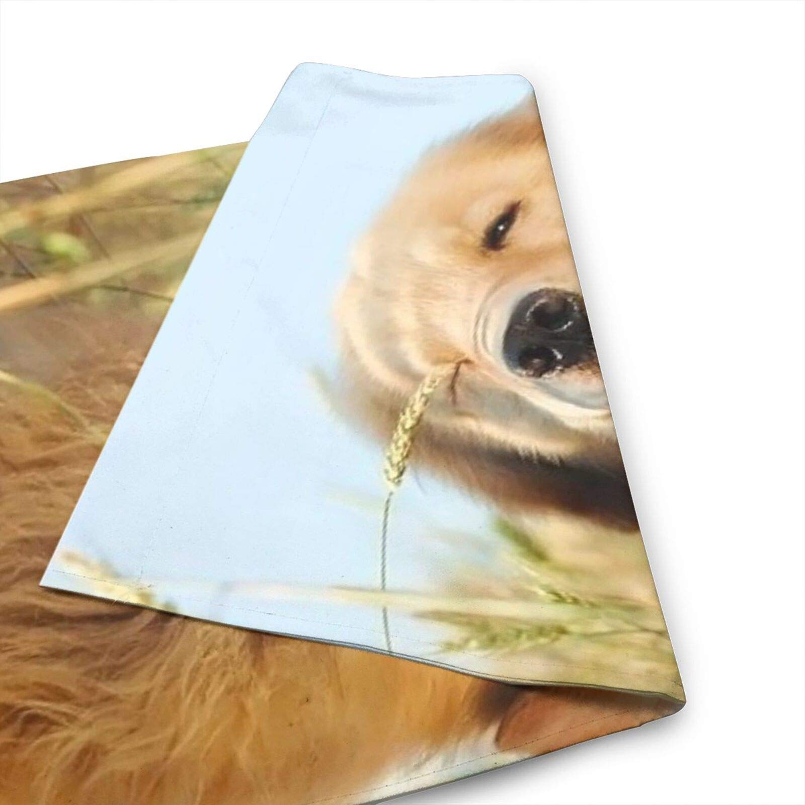 Custom Personalized Garden Flag with Photo & Text - 12x18 Inch Double Sided Welcome Yard Decoration for Outdoor Home Decor | Perfect for Front Porch, Lawn, Garden & Seasonal Displays