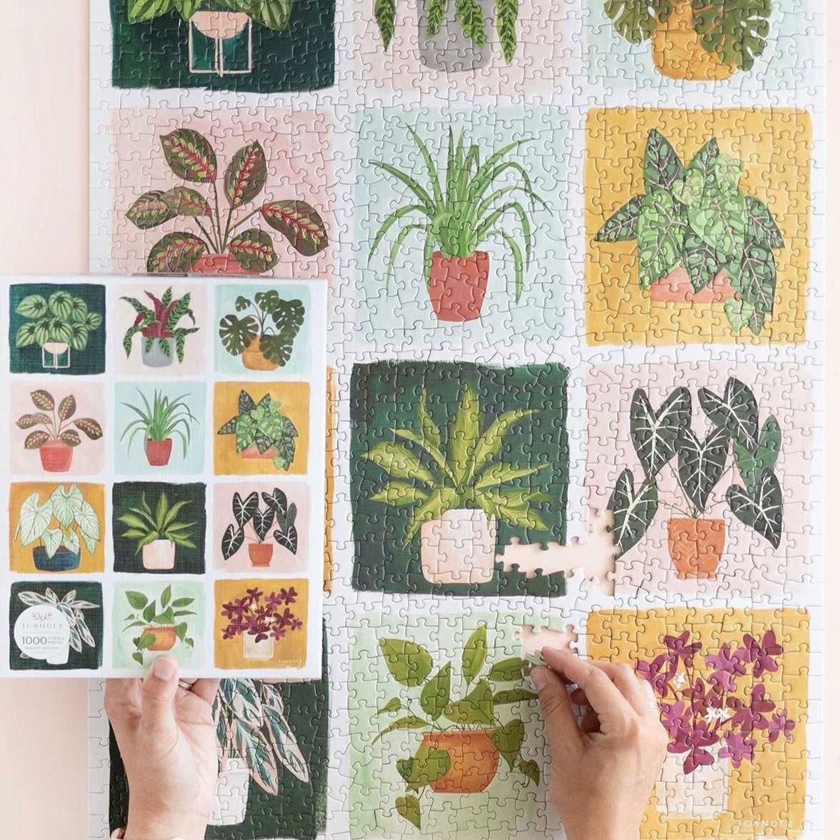 1,000 Piece Houseplants Jigsaw Puzzle for Adults - Beautiful Indoor Plant Puzzle for Relaxation & Home Decor