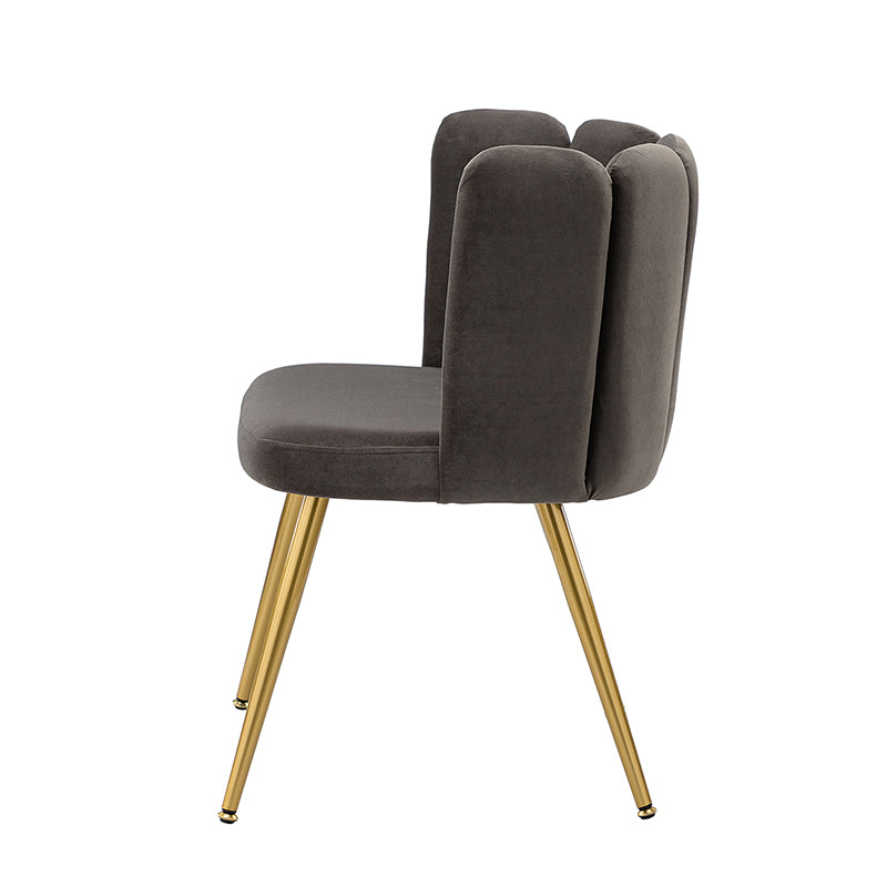 Elodia Side Chair - Modern Accent Chair for Dining Room, Living Room & Office - Sturdy Wooden Frame with Upholstered Seat - Perfect for Home Decor & Small Spaces