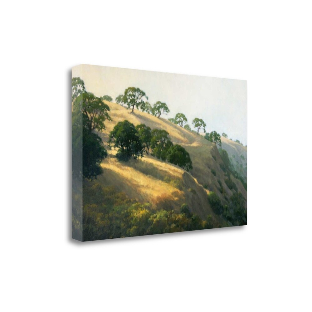 Afternoon Shadows by Kathy Oleary - Premium Giclee Art Print on Gallery Wrapped Canvas, Ready to Hang Wall Decor for Living Room, Bedroom & Office