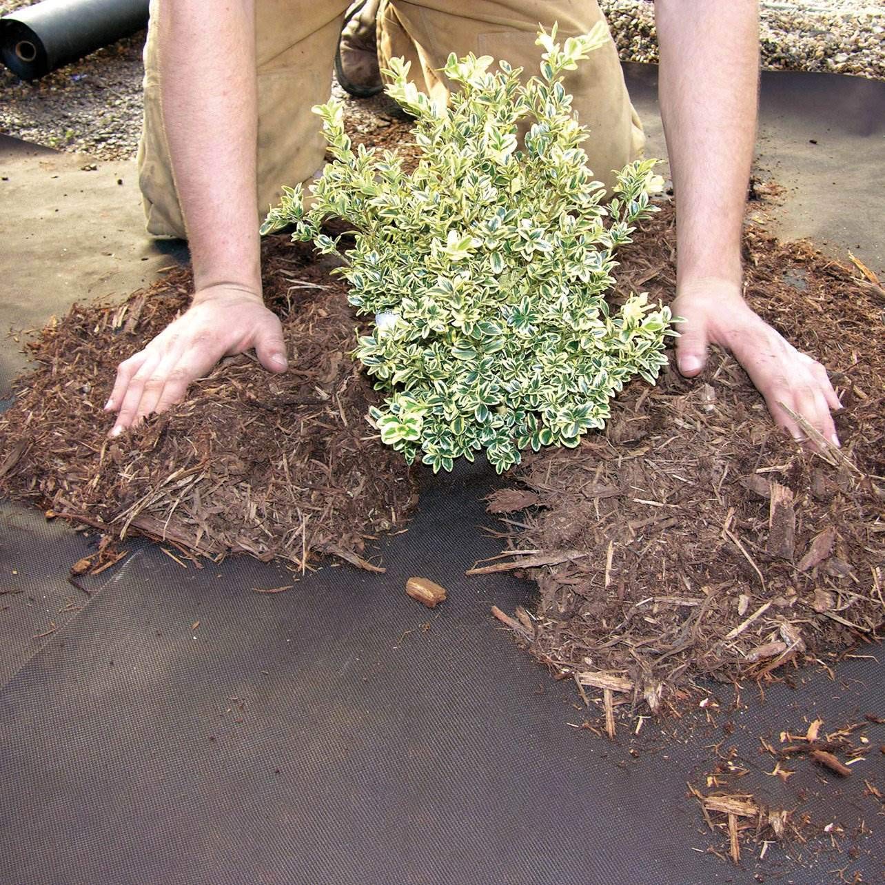 Dewitt Weed Barrier Pro Landscape Fabric - 3ft x 100ft Brown Heavy Duty Weed Control Fabric (2 Pack) | Premium Garden Ground Cover for Flower Beds, Vegetable Gardens & Landscaping Projects