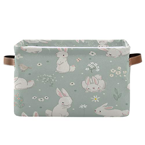 Bunny Rabbit