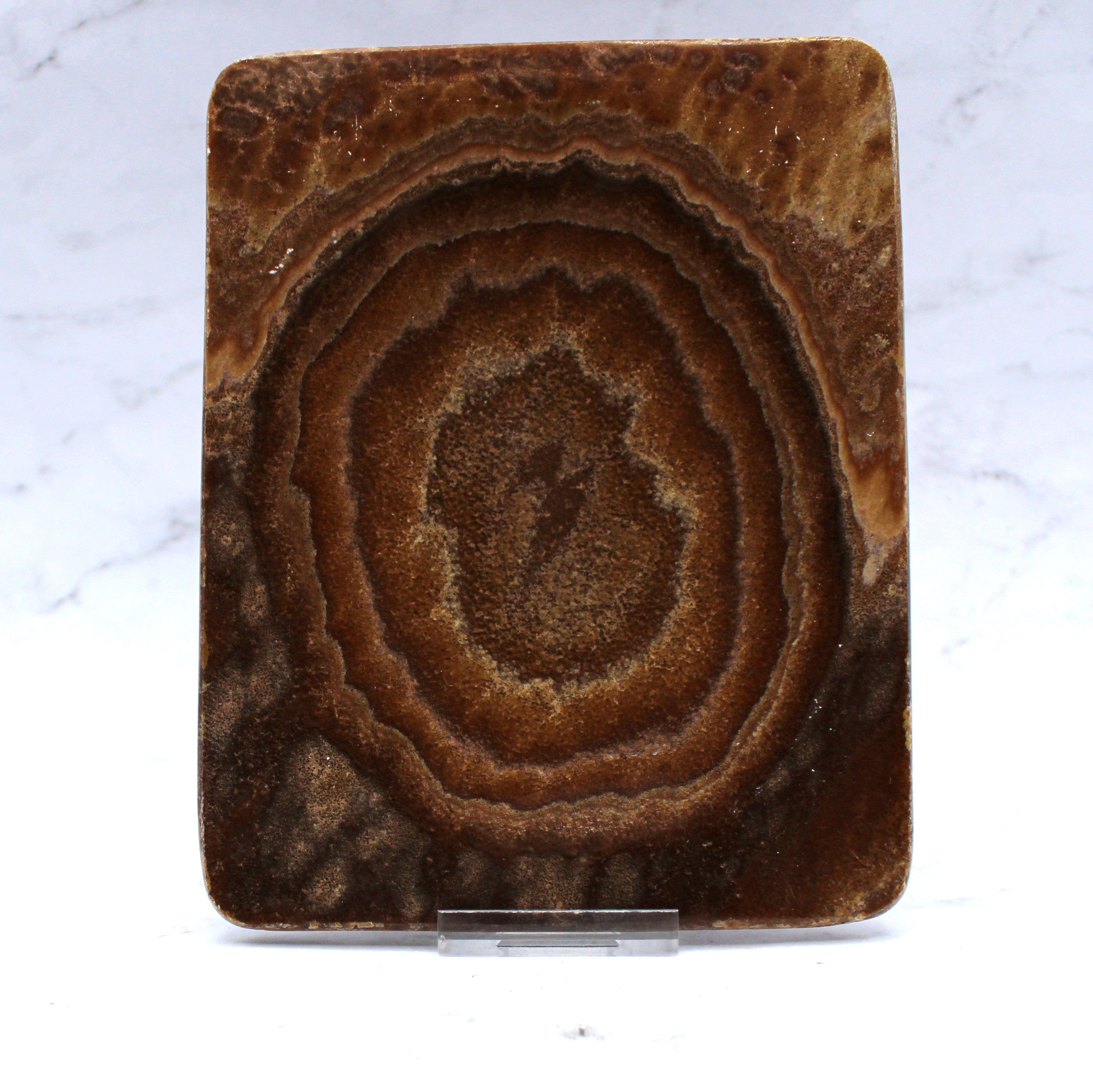 Premium Aragonite Dish 6
