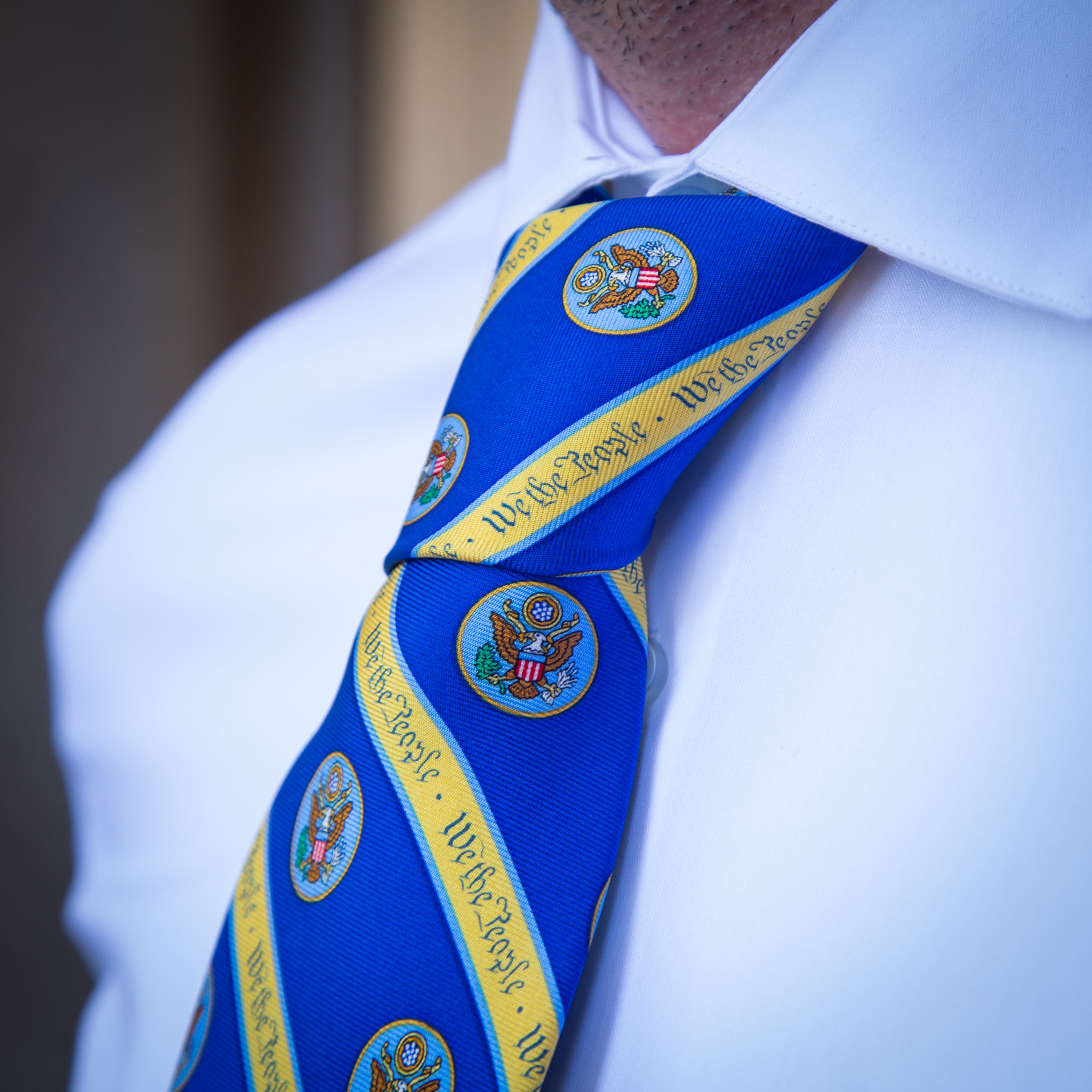 We the People Patriotic Blue Necktie - American Flag Inspired Neckwear for Men, Perfect for Independence Day, Political Events & Formal Occasions