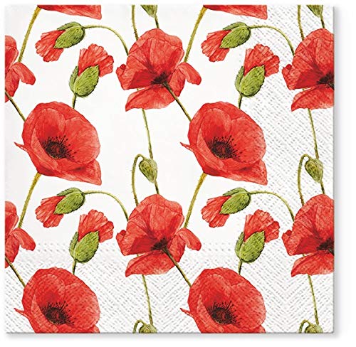 Papaver