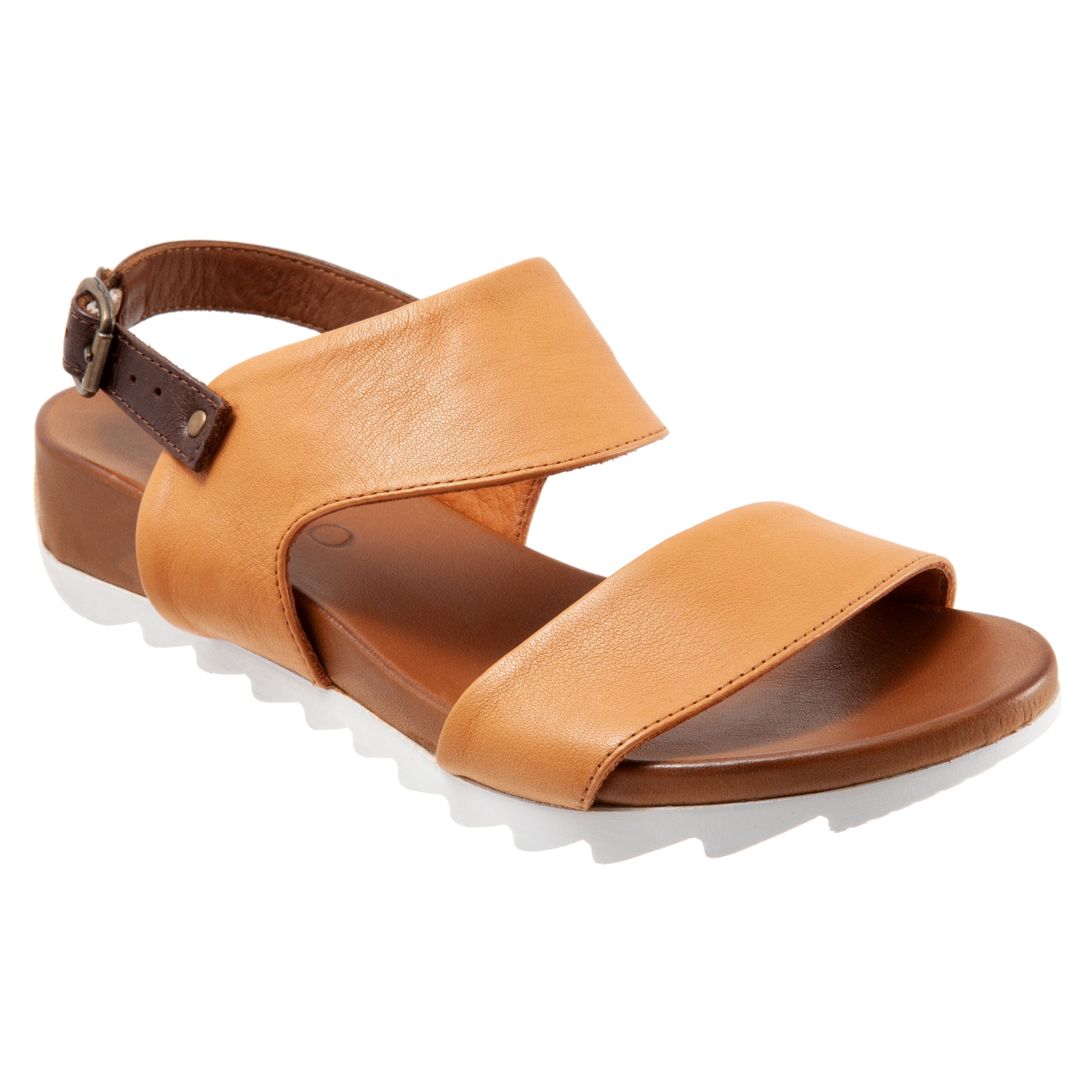 TAN