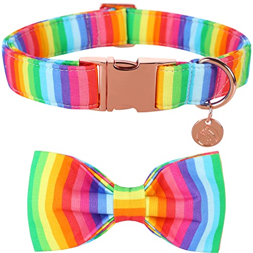 A: Rainbow