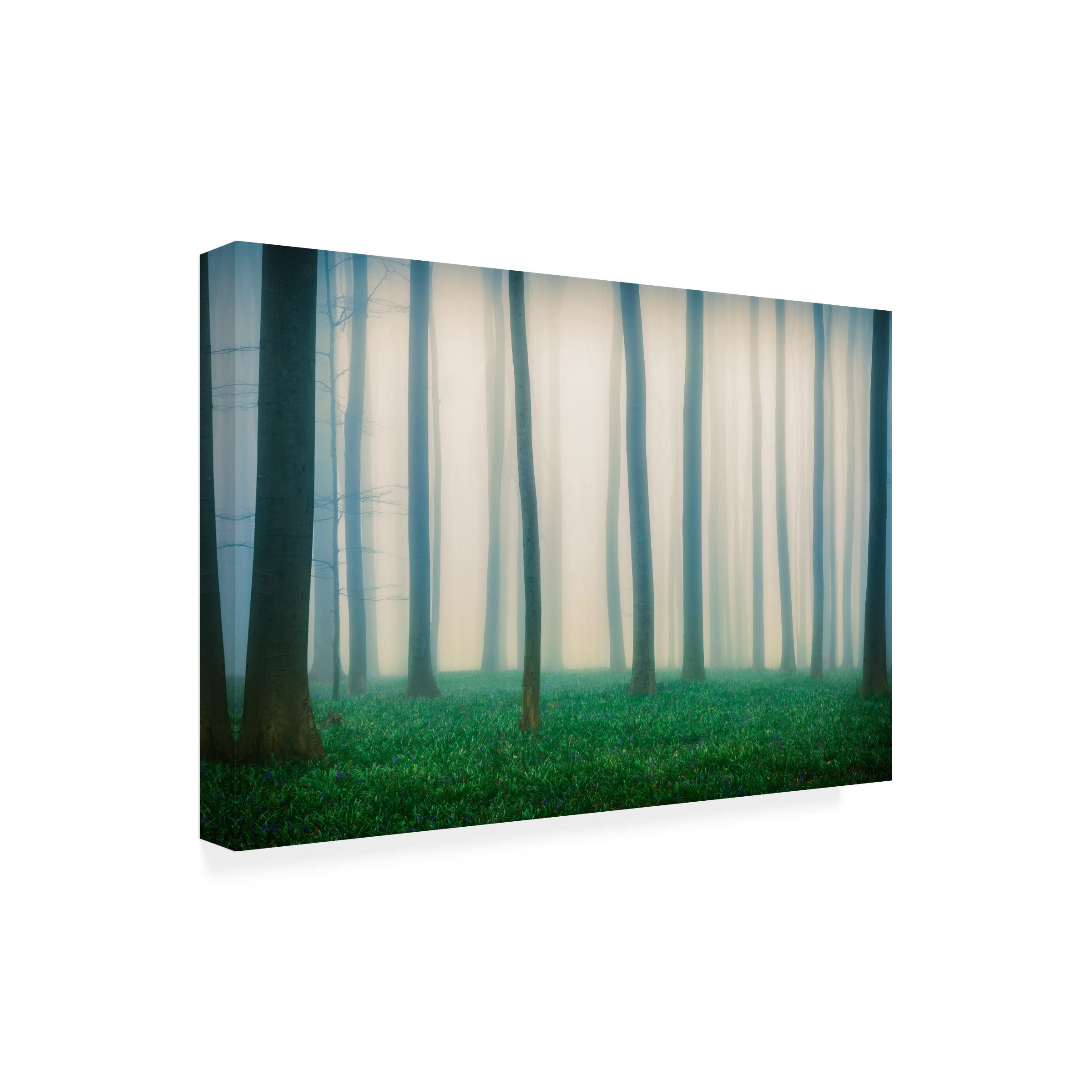 Adrian Popan 'Daydreaming Of Bluebells' Canvas Wall Art Print - Modern Home Decor for Living Room, Bedroom & Office - Blue Floral Landscape Painting