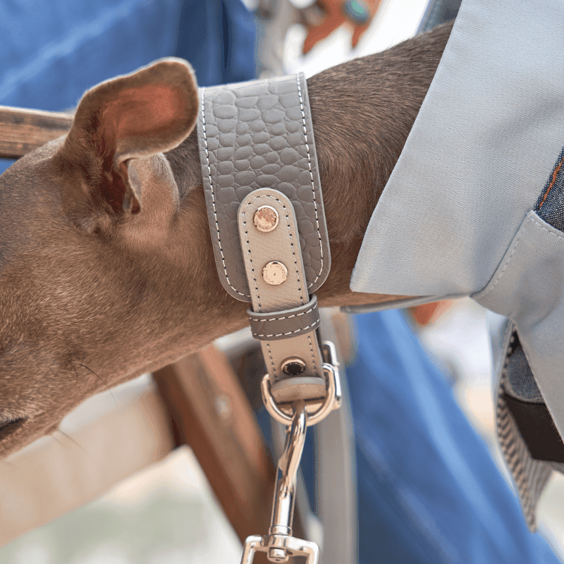 Moonstone Leather Dog Collar - Adjustable & Stylish Pet Collar for Small & Medium Dogs - Perfect for Daily Walks & Outdoor Adventures