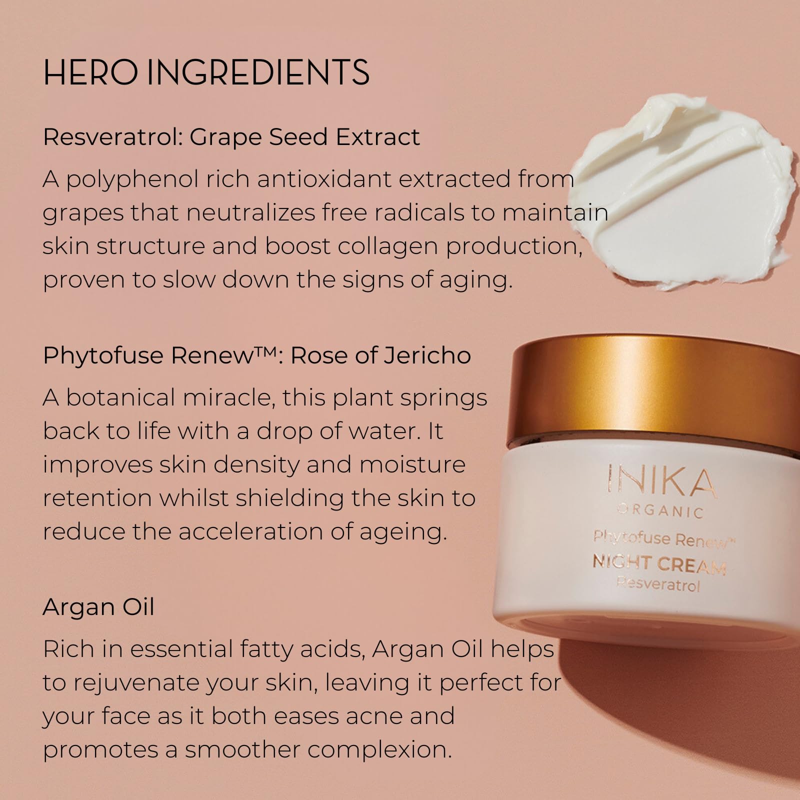 INIKA Organic Phytofuse Renew™ Night Cream - Vegan Anti-Aging Face Moisturizer with Natural Ingredients for Overnight Skin Repair & Hydration (50ml) | Perfect for Dry, Sensitive & Mature Skin Night Care Routine