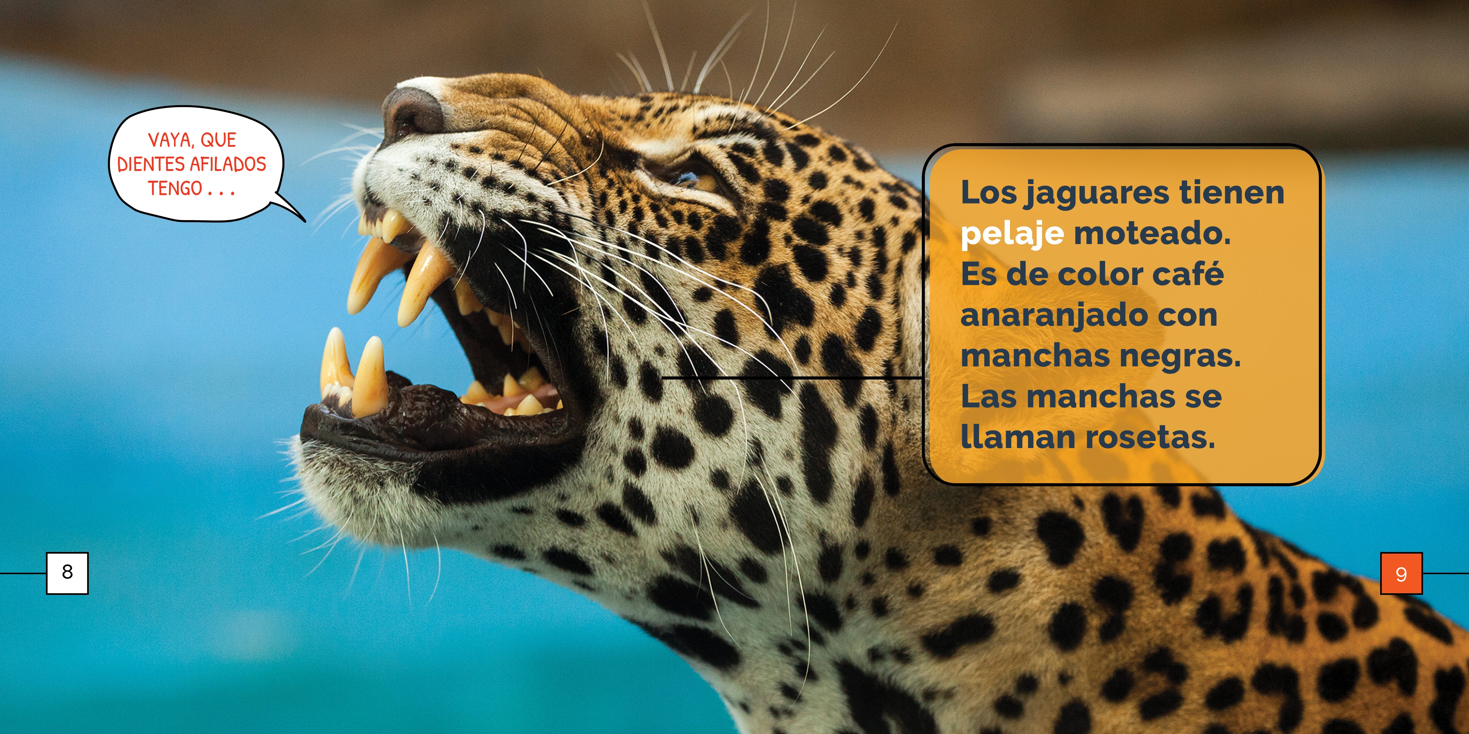 Los Jaguares Maravillas - Premium Handmade Jaguar-Themed Jewelry for Women | Perfect for Gifts, Parties, and Special Occasions