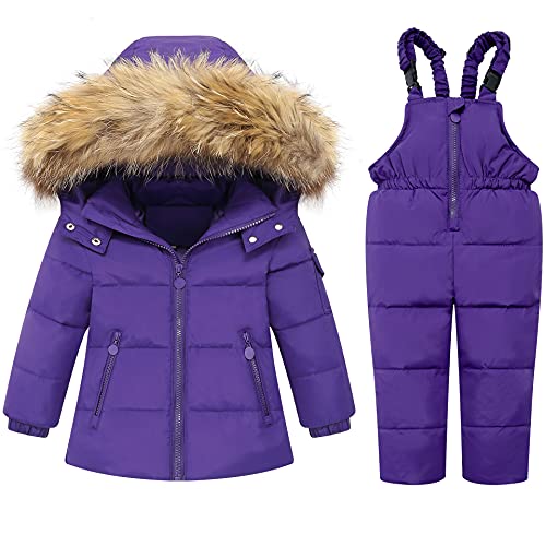 Purple-1