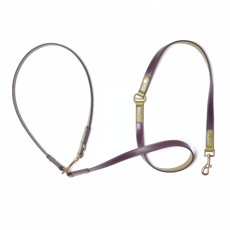 Hands-Free Dog Leash for Walking & Training - Adjustable No-Pull Pet Leash with Comfortable Padding - Perfect for Running, Hiking & Outdoor Adventures