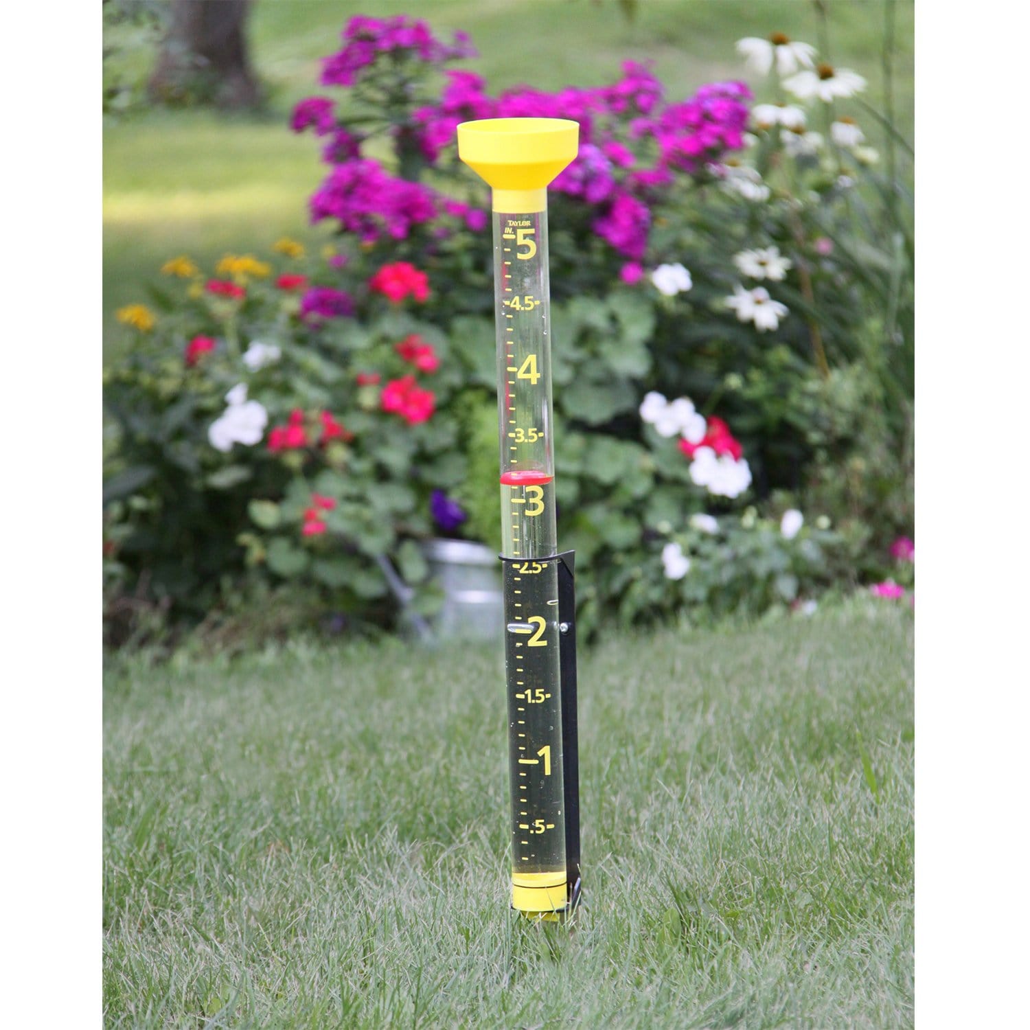 Jumbo Jr. 5 Capacity Rain Gauge - Outdoor Weather Measurement Tool for Garden, Lawn & Backyard Use