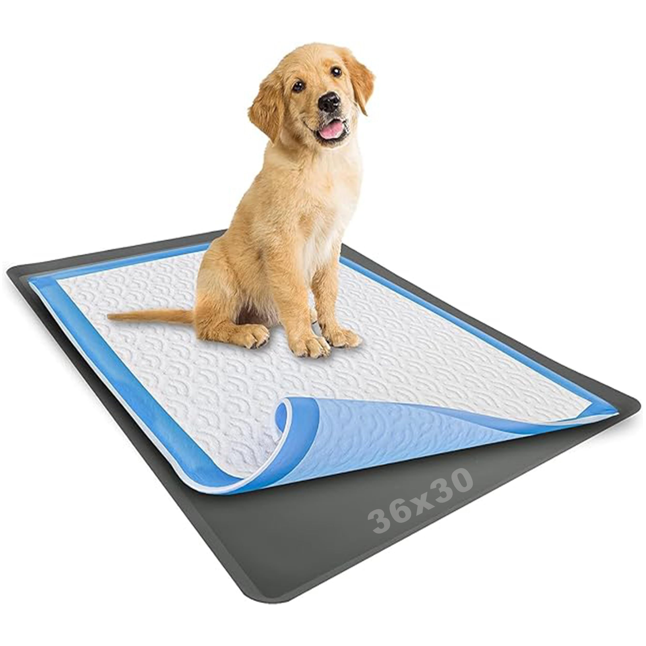 TidyFriend Non-Slip Silicone Dog Pad Holder Tray for 30x36 Inch Training Pads | Leak-Proof Puppy Potty Tray with Raised Edges | Easy to Clean & Store | Ideal for Indoor Dog Toilet Training & Small Spaces (Grey)