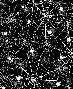 Black and White Spiderweb With Spiders