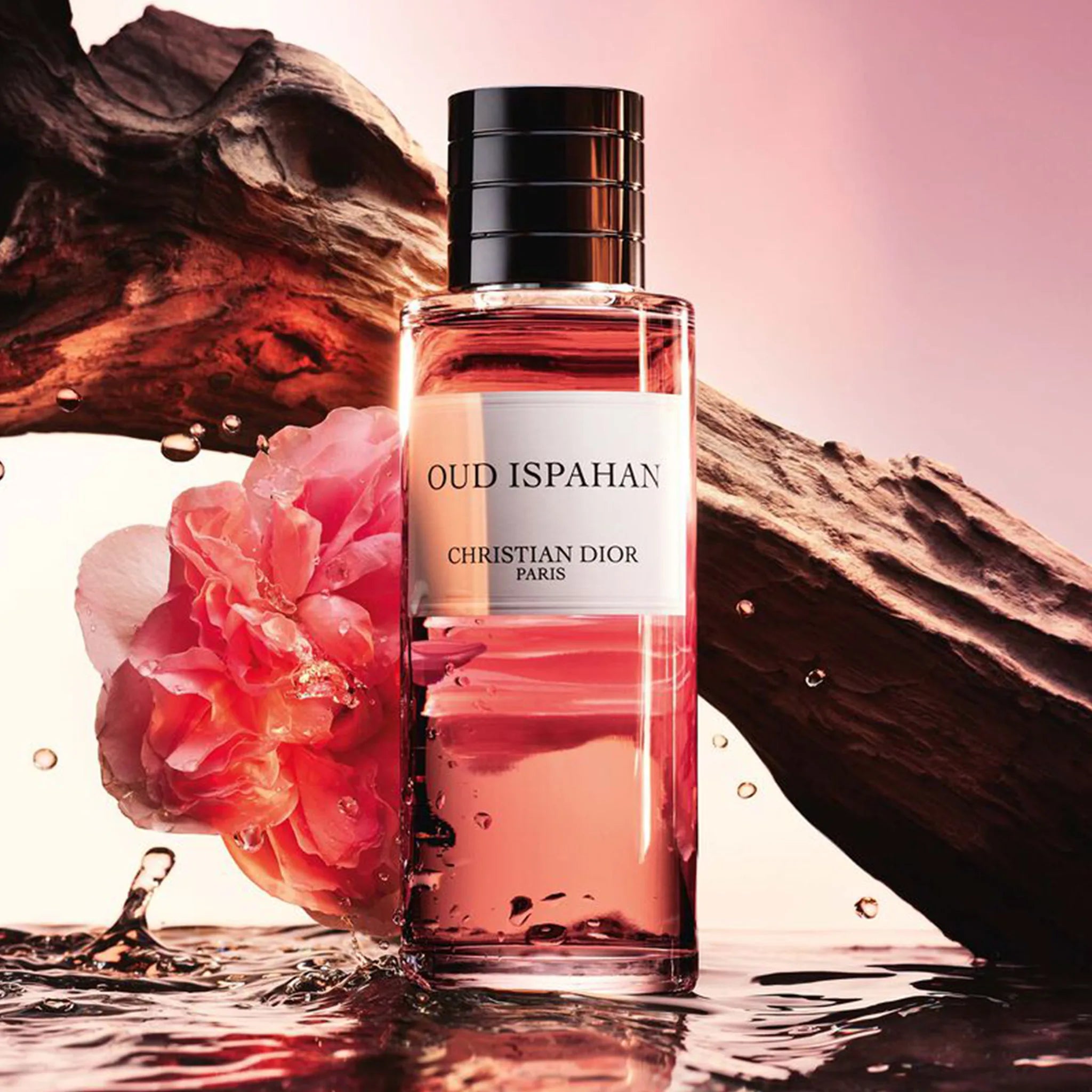 Dior Oud Ispahan Perfume for Men & Women - 8.4oz/250ml Luxury Oriental Woody Scent - Perfect for Evening Wear, Special Occasions & Gift Giving