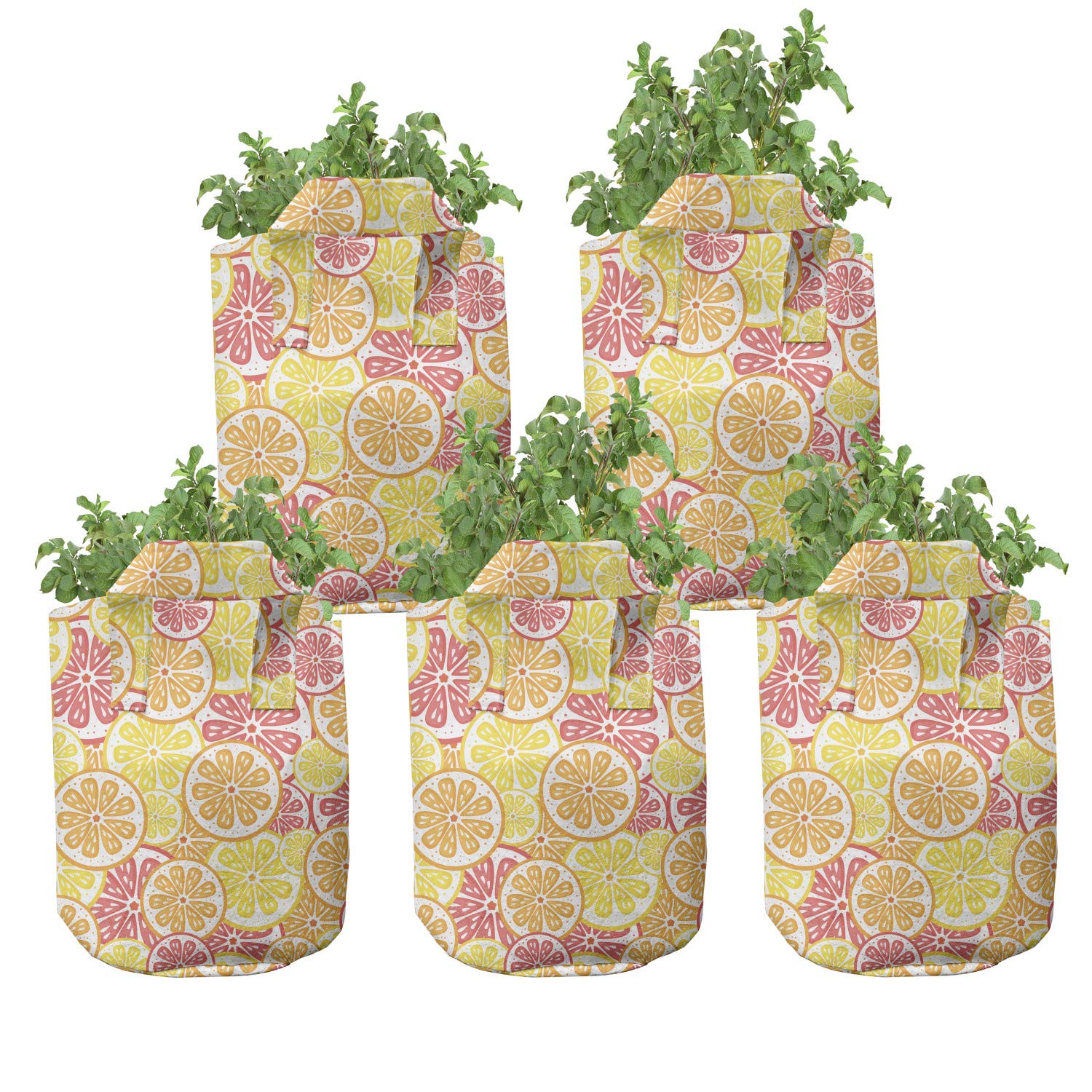 Ambesonne 5-Pack Heavy Duty Fabric Grow Bags with Handles - Citrus Fruit Pattern in Orange & Yellow - Durable Plant Pots for Indoor/Outdoor Gardening, Balcony & Patio Decor