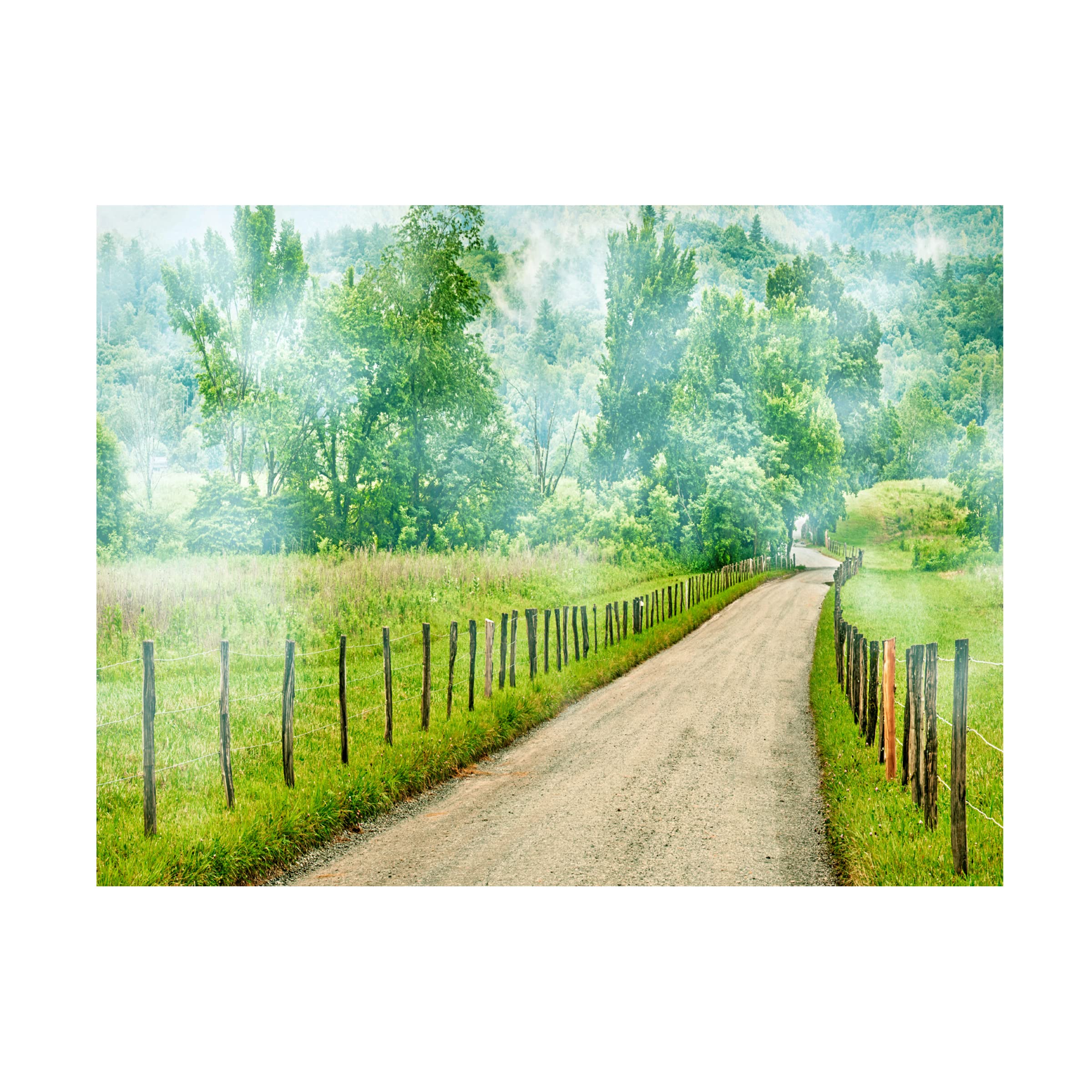 James McLoughlin 'Country Road Photo II' Canvas Wall Art Print - Landscape Nature Photography for Living Room, Bedroom & Office Decor