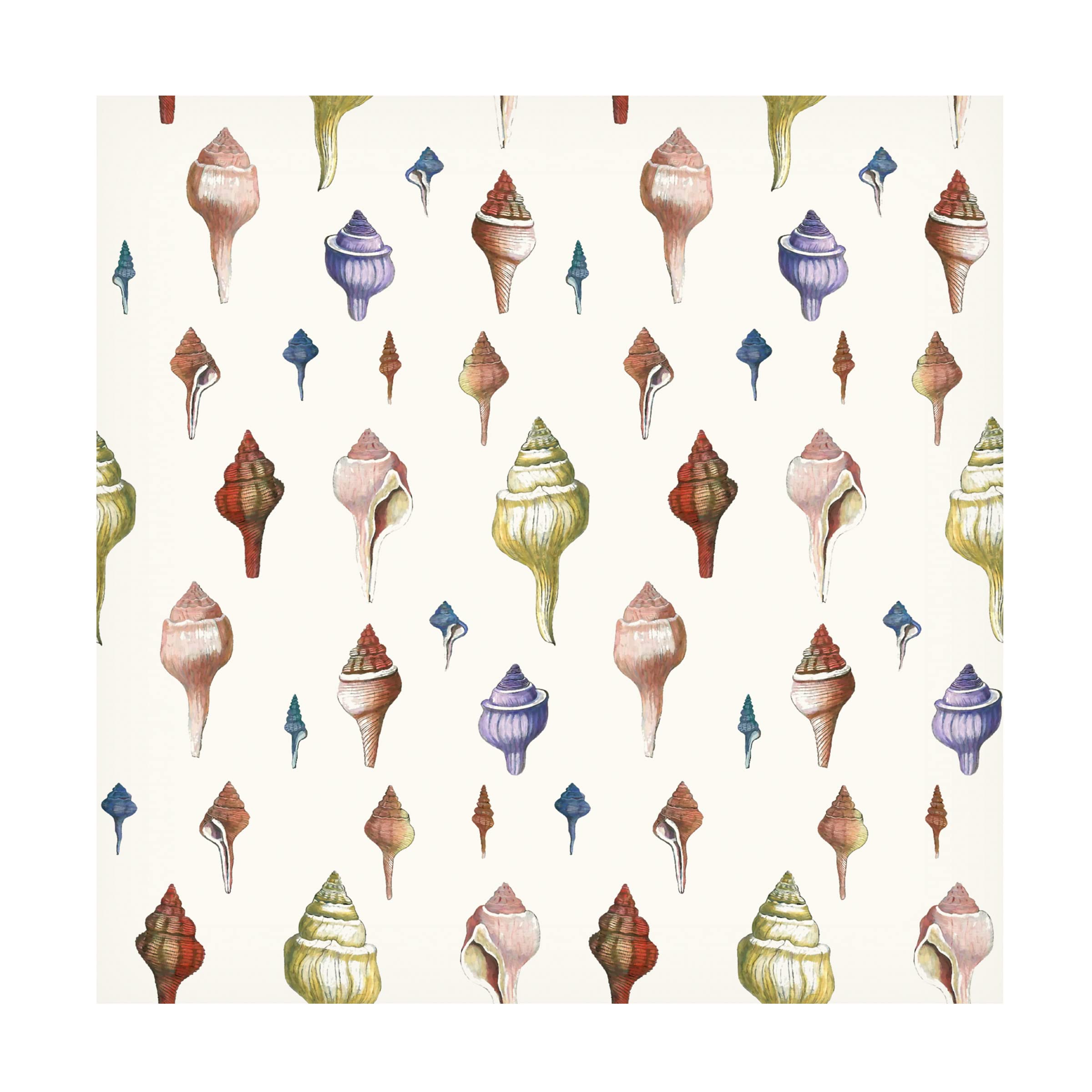 Trademark Fine Art 'Spiral Shells' Canvas Wall Art Print by Cora Niele - Perfect for Living Room, Bedroom & Office Decor