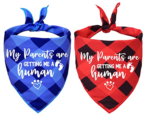 01-parents-human-red-blue