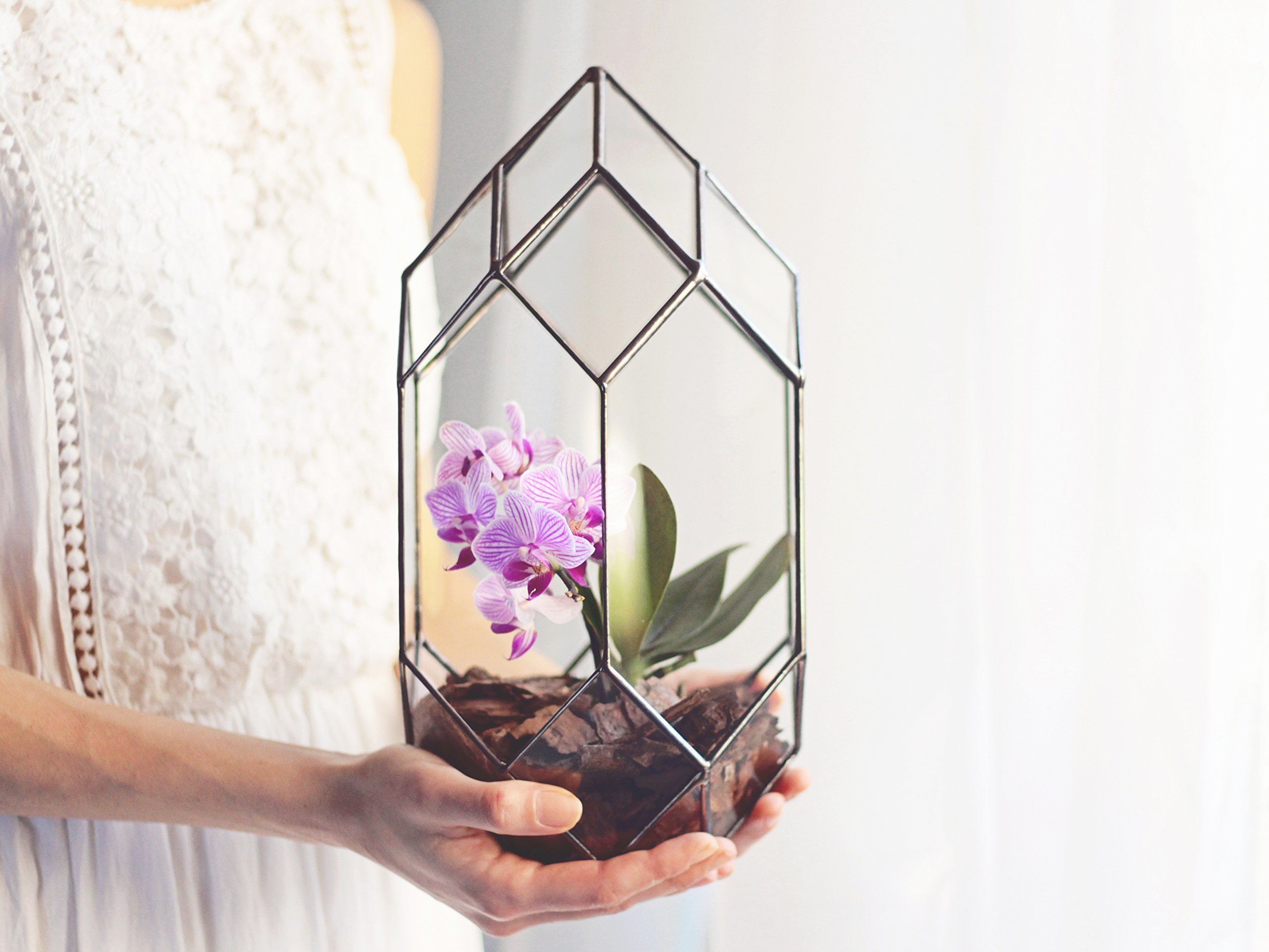 Modern Geometric Glass Orchid Planter - Large Terrarium Container for Home Decor, Wedding Table Centerpiece, Housewarming & Anniversary Gift (Copper, Silver, Black) | Perfect for Indoor Plants, Succulents & Floral Arrangements