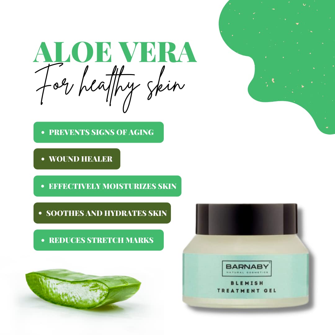 Barnaby Skincare Blemish Treatment Gel - Natural Acne, Spot & Scar Reducer with Aloe Vera & Tea Tree Oil | Gentle Face Care for Clear Skin | Perfect for Daily Skincare Routine & Post-Breakout Recovery