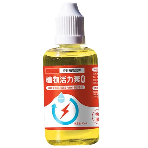 1 bottle