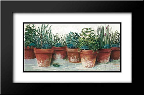Carol Rowan 40x25 Black Modern Frame & Double Matted Museum Art Print - Pots of Herbs II White - Perfect for Living Room, Bedroom, or Office Decor