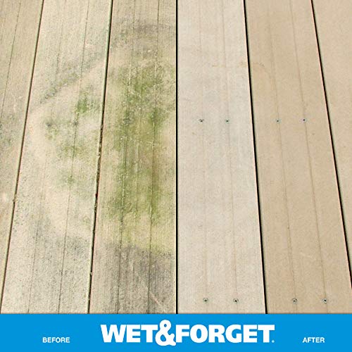 Wet & Forget Outdoor Multi-Surface Cleaner - Moss, Mold, Mildew & Algae Stain Remover | Ready-to-Use 64oz (4-Pack) | Perfect for Driveways, Patios, Roofs & Fences