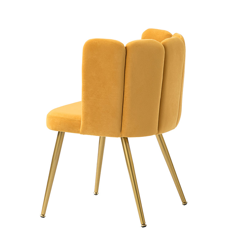 Elodia Side Chair - Modern Accent Chair for Dining Room, Living Room & Office - Sturdy Wooden Frame with Upholstered Seat - Perfect for Home Decor & Small Spaces