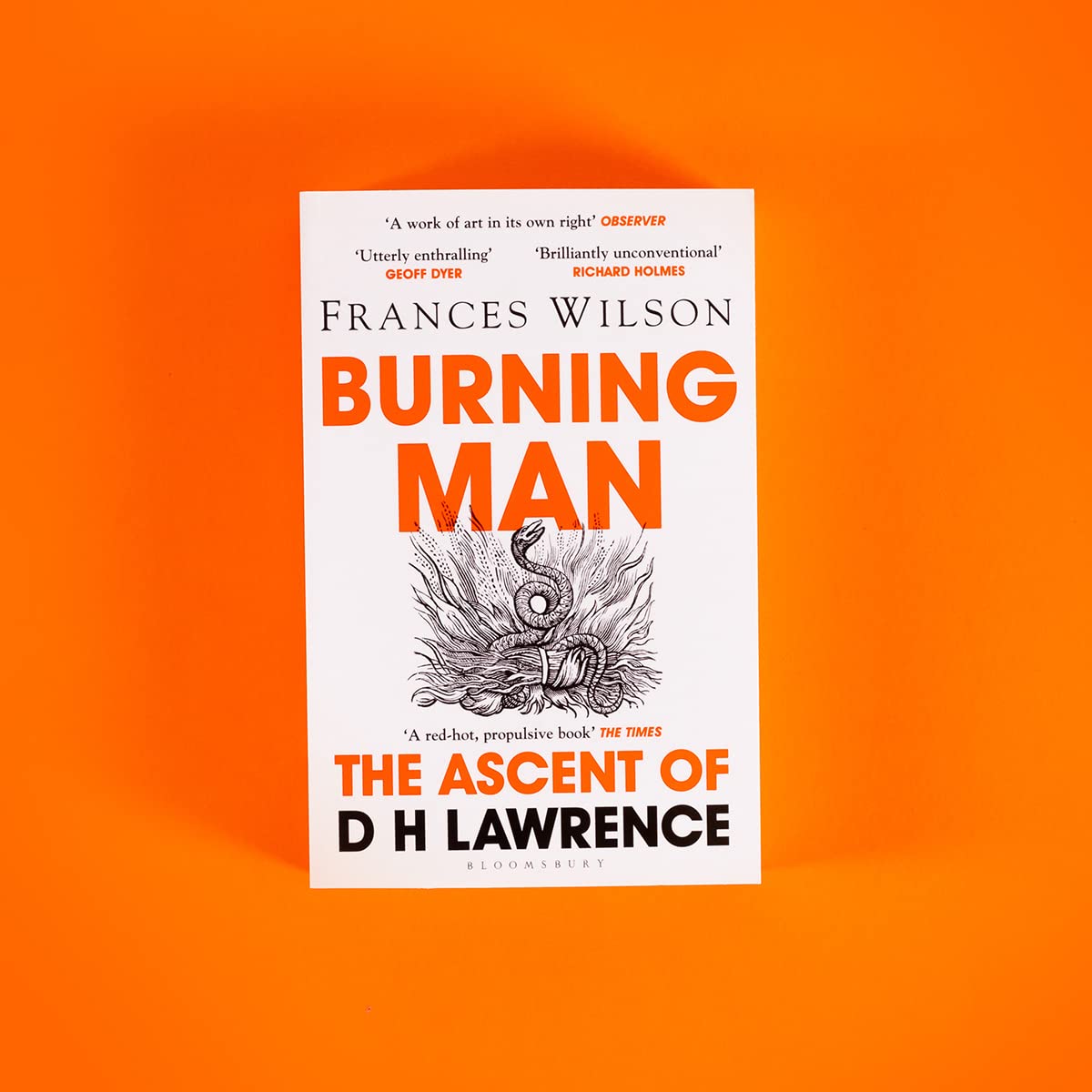 Burning Man: The Ascent of DH Lawrence - Biography & Literary Analysis | Perfect for Book Clubs, Literature Studies & Cultural Enthusiasts