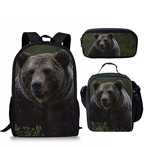 Bear-3pcs