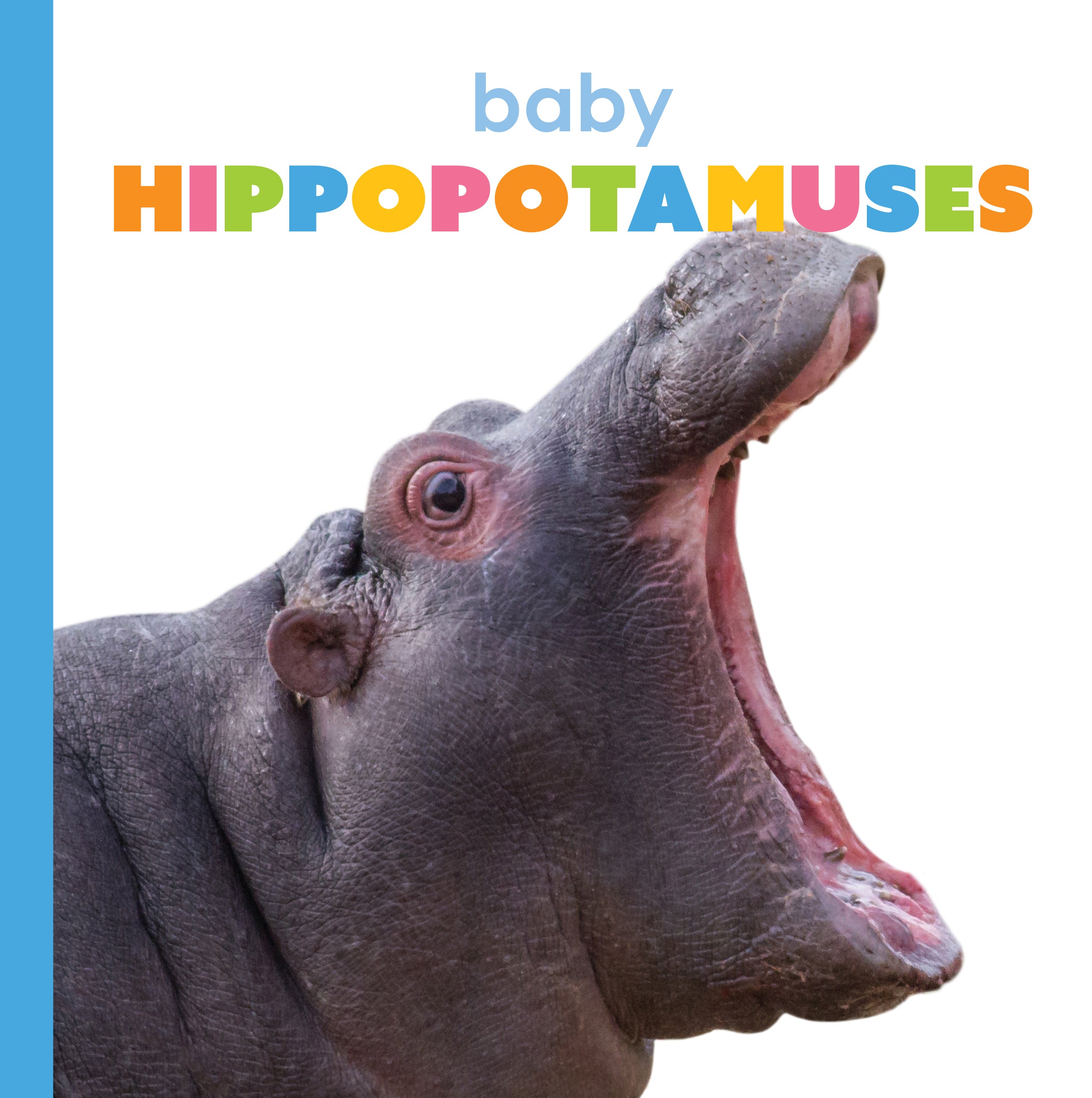 Adorable Baby Hippopotamus Plush Toy - Soft & Cuddly Stuffed Animal Gift for Kids | Perfect for Nursery Decor, Birthday Presents & Cute Gifts