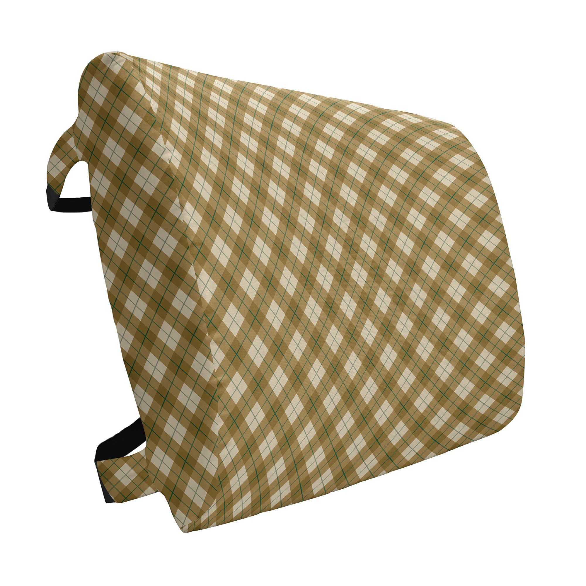 Ambesonne Plaid Lumbar Support Pillow - High Density Foam Cushion for Office Chair & Car Seat (14