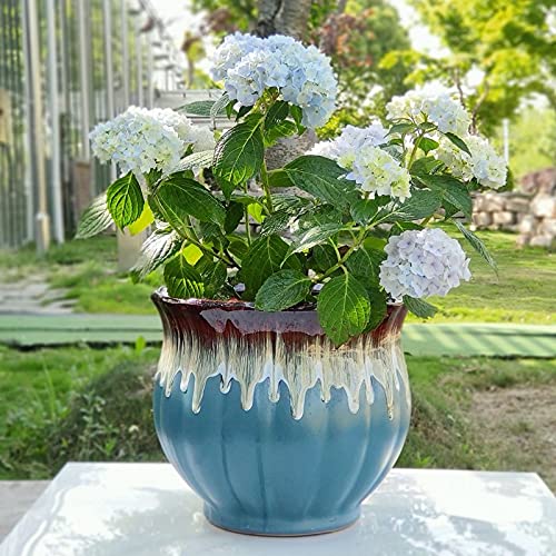 UimimiU Large European Style Phalaenopsis Ceramic Flower Pot - 22x22.5cm Sea Blue Floor Planter for Home, Office & Windowsill Decor | Perfect for Orchids, Indoor Plants & Gardening Gifts | Ideal for Living Rooms, Balconies & Wedding Centerpieces