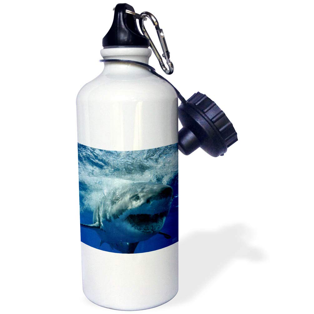 3D Rose Great White Shark Sports Water Bottle - 21 oz Insulated Stainless Steel Water Bottle for Gym, Hiking & Outdoor Activities - White