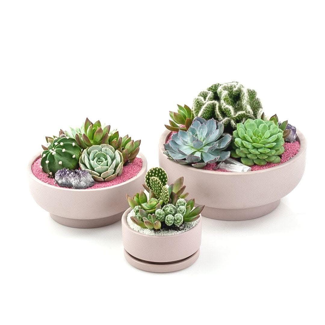 Blush Crystal Succulent Garden Kit - Elegant DIY Home Decor for Office Desk, Wedding Centerpiece & Gift Idea