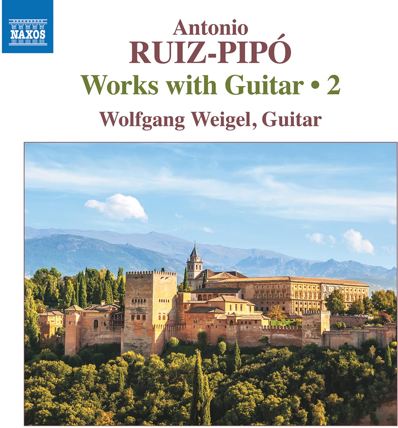 Guitar Accessories - Compatible with Guitar 2 | Perfect for Live Performances & Studio Recording