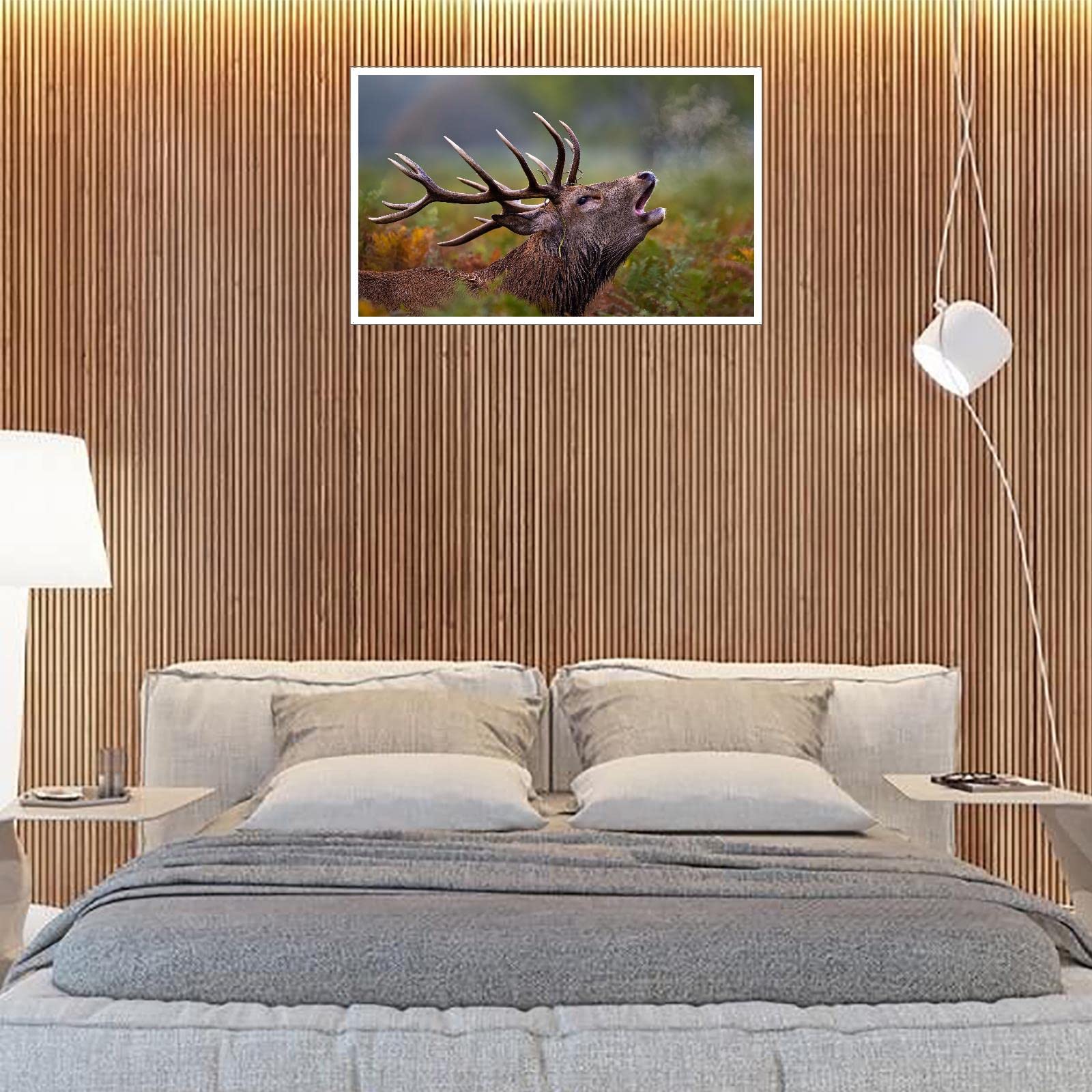 Deer Wall Art Canvas Prints - 42