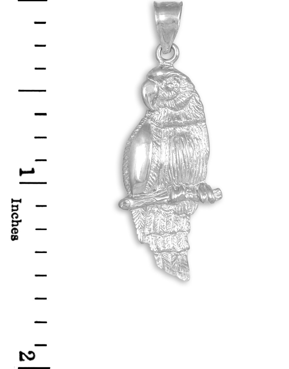 925 Sterling Silver Amazon Parrot Charm Pendant Necklace for Women | Exotic Bird Jewelry Gift | Perfect for Tropical Parties, Beach Vacations & Animal Lover Gifts